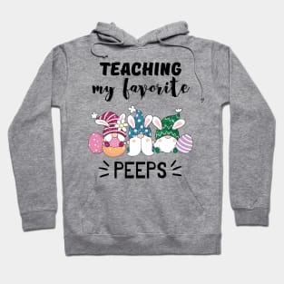 Teaching my favorite peeps Hoodie